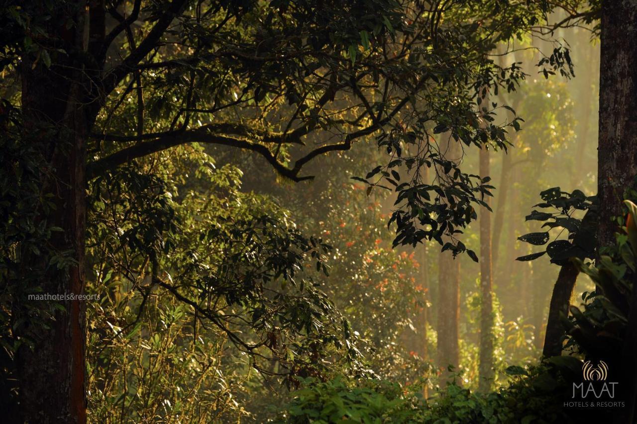 Dew Drops Farm Resorts Munnar Esterno foto