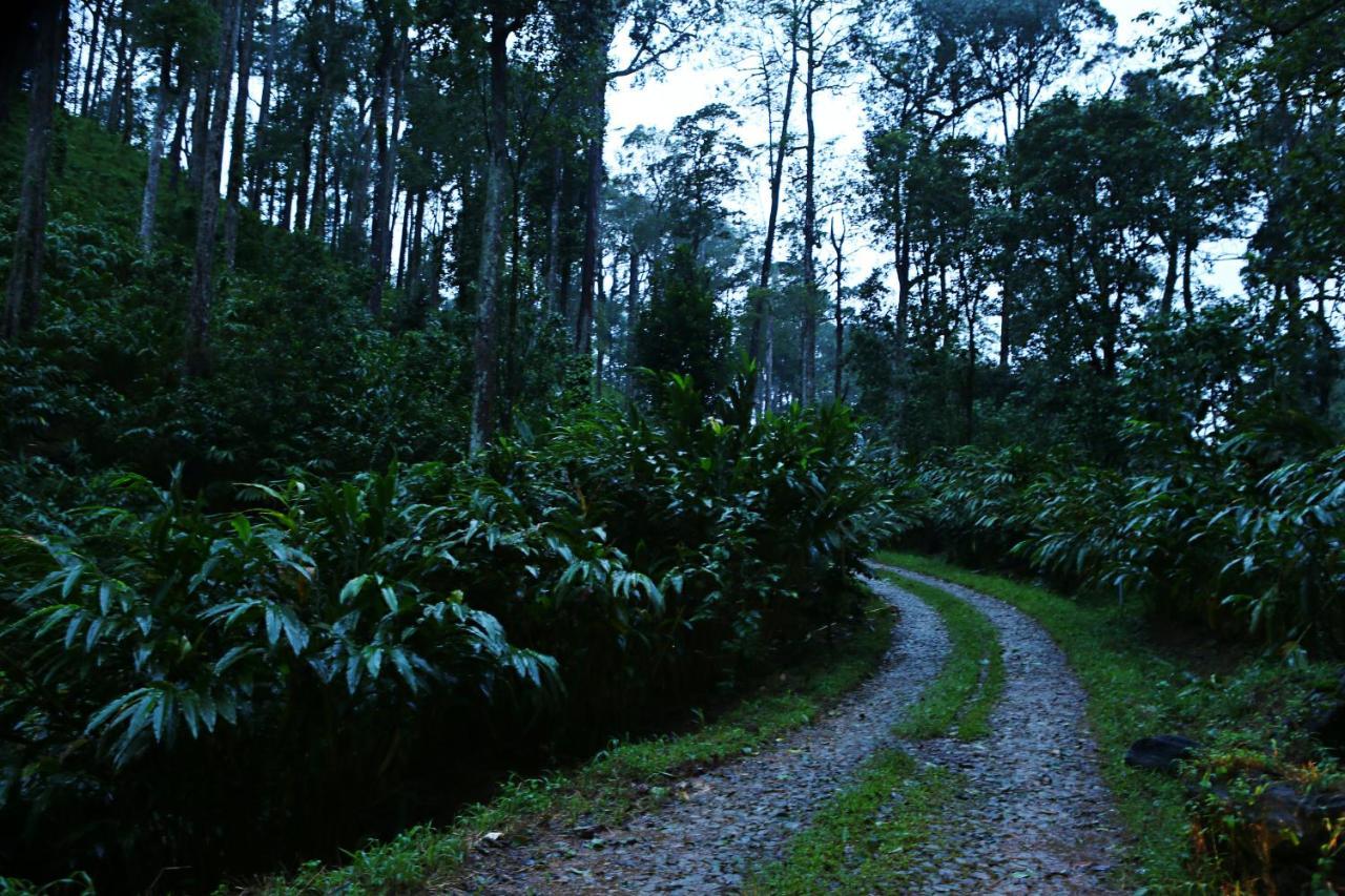 Dew Drops Farm Resorts Munnar Esterno foto