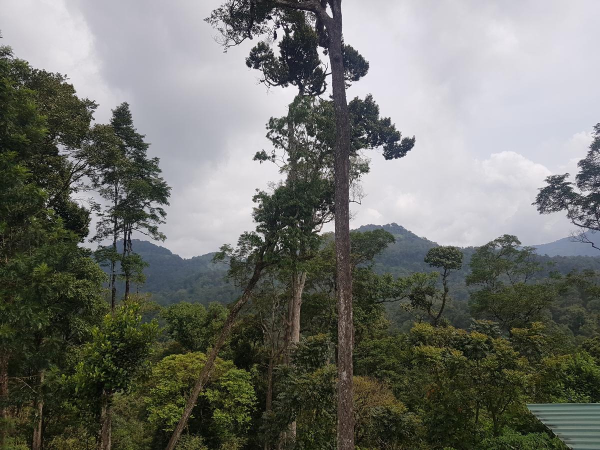 Dew Drops Farm Resorts Munnar Esterno foto